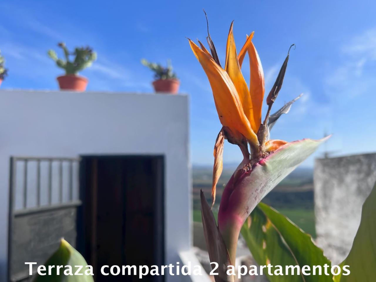 Casa Abades Arcos De La Frontera Διαμέρισμα Εξωτερικό φωτογραφία
