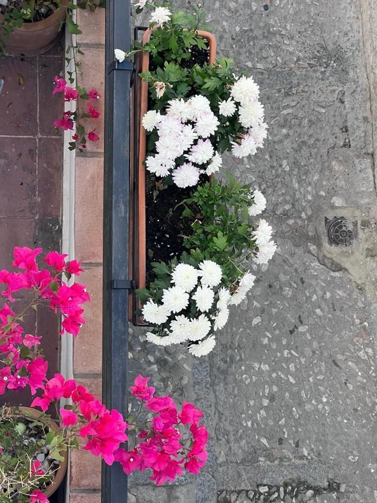 Casa Abades Arcos De La Frontera Διαμέρισμα Εξωτερικό φωτογραφία